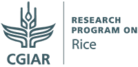 RICE logo