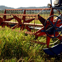 harvest